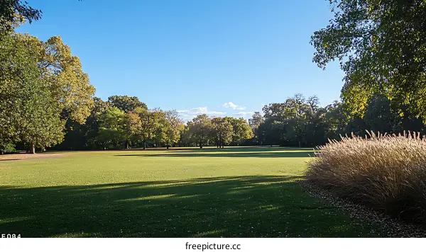 Beautiful Autumn Park Landscape