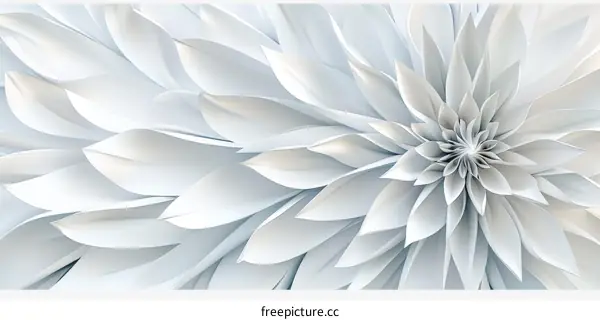 White abstract flower petals