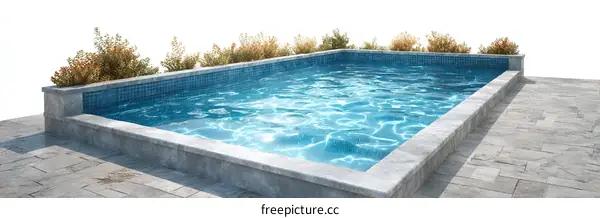 Empty Swimming Pool with Decorative Landscaping