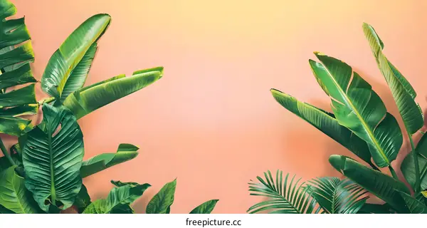 Tropical Leaves on Pink Background