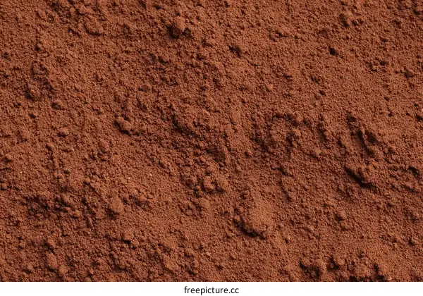 Close-up View of Ground Cocoa Powder