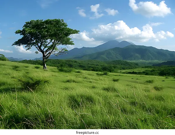Green field with single tree and mountains in the background