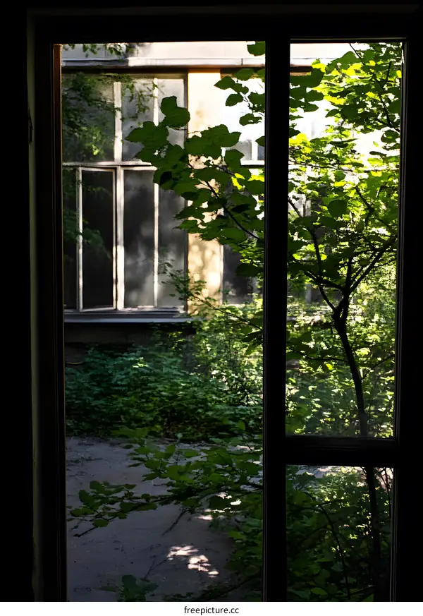 View Through Window Of Green Greenery