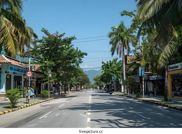 Empty Street in Tropical Town
