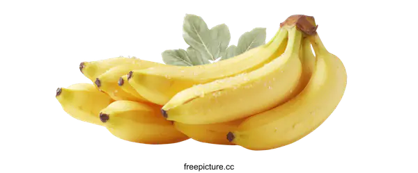 [Transparent Background PNG]Fresh Bunch of Bananas on White Background