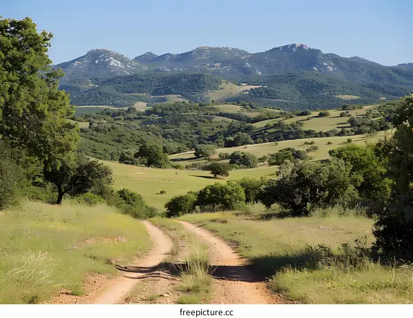 Dirt Road Leading Through Green Hills and Mountains