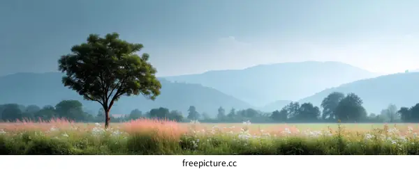 Misty Mountain Landscape with Lone Tree