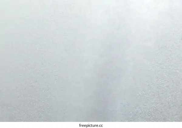 Light Gray Textured Surface