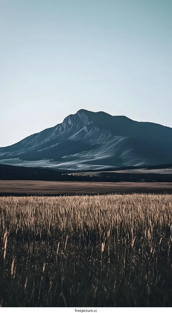 Mountain Landscape with Field of Grass