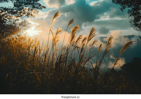 Sunset Over Grass and Mountains