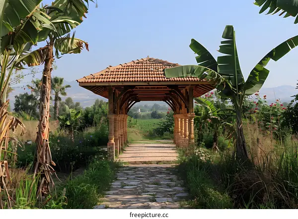 stone path to the exotic garden