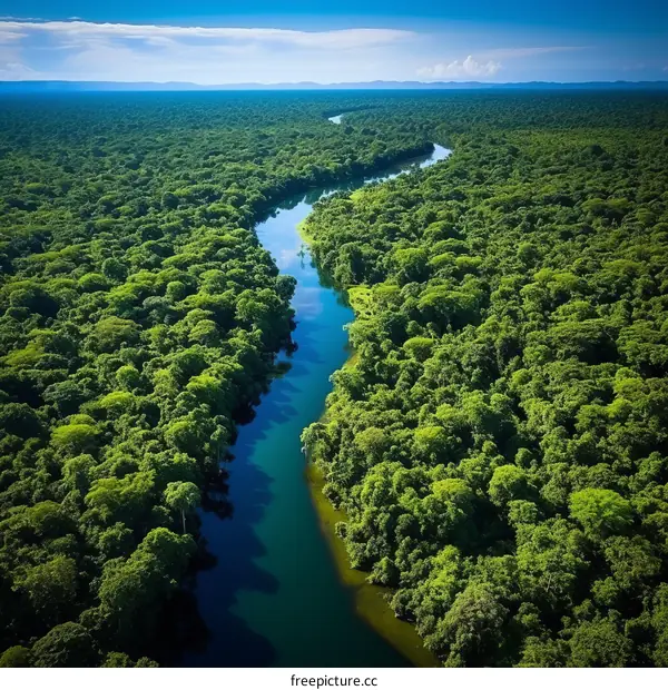 The beauty of nature