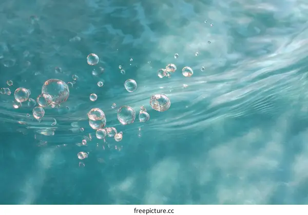 Water Bubbles Macro Photography