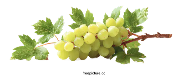 [Transparent Background PNG]Fresh Green Grapes with Leaves
