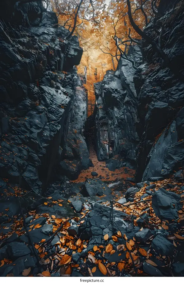 Autumn Leaves In A Narrow Canyon
