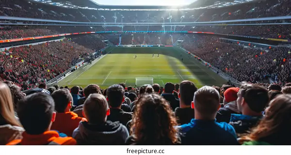 Spectators at a soccer game watch the game intently