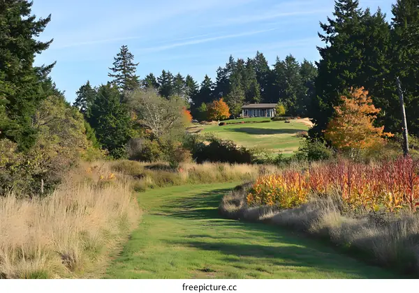 Autumn Landscape with Green Grass Path and House in Background