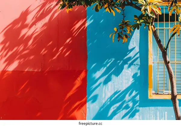 Red and Blue Wall with Tree Shadow