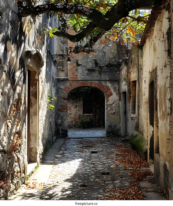 Buildings and alley in Italy