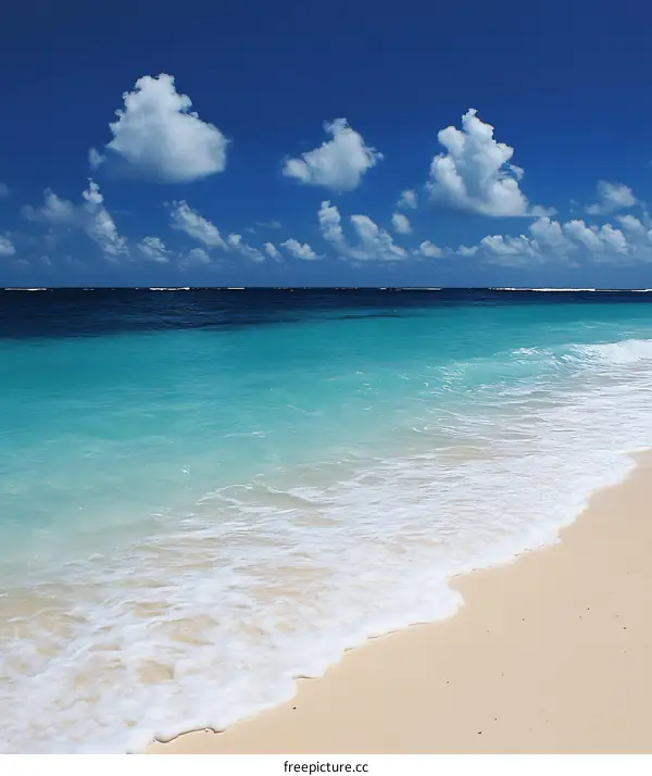 Beautiful Beach with White Sand and Blue Sky