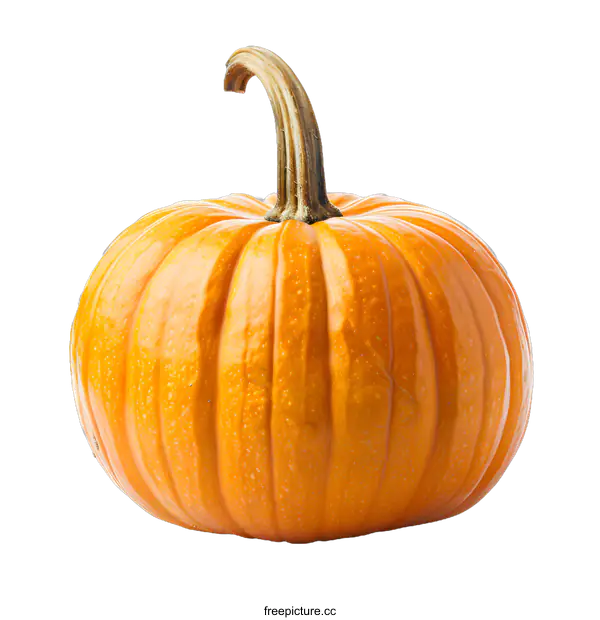 [Transparent Background PNG]An orange pumpkin isolated on a white background