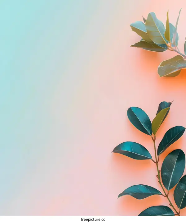 Green Leaves on a Peach and Blue Gradient Background
