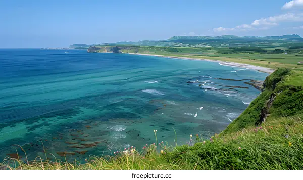Coastal Landscape with Green Grass and Blue Ocean