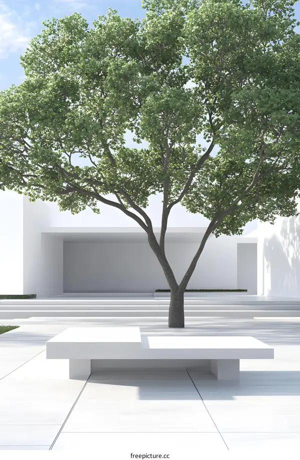 Minimalist Modern Architecture with Tree and Bench