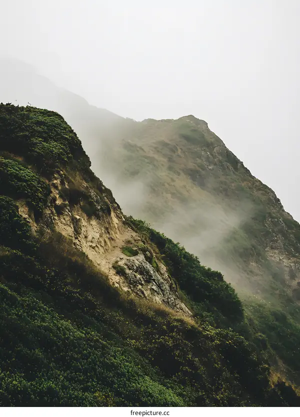 Foggy Mountain Landscape in Green and Brown Tones