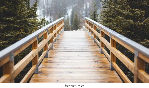 Wooden Footbridge Through Snowy Forest Landscape