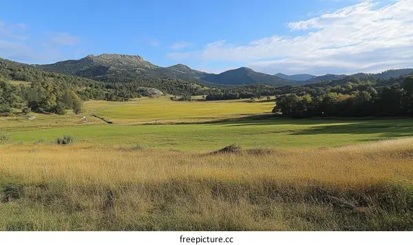 Panoramic Countryside Landscape Under a Clear Sky