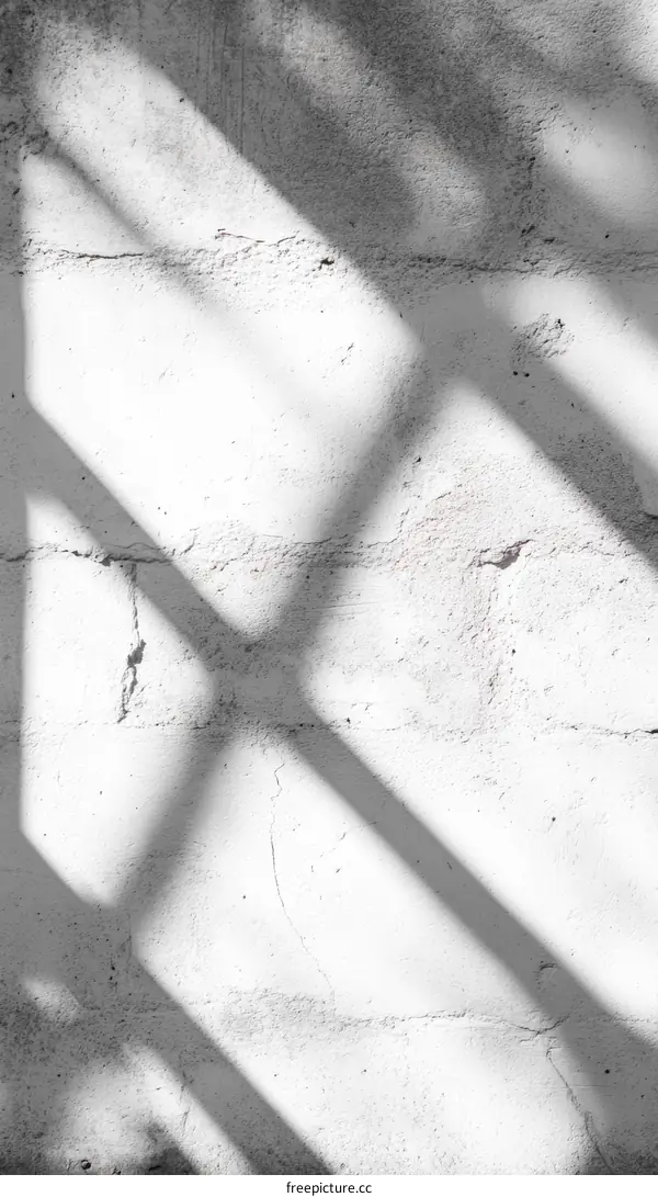 White Wall with Shadows of an Exterior Structure