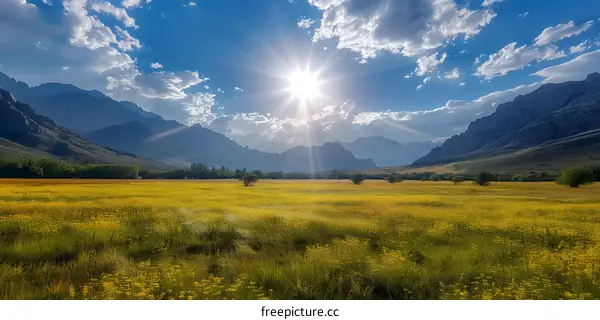 Golden Field with Mountain View