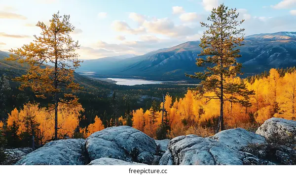 Autumn Mountain View with Golden Trees and Rocky Landscape