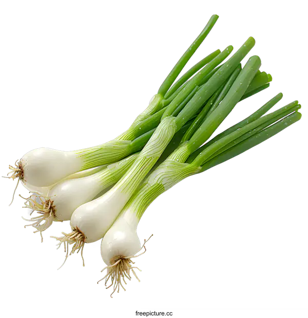 [Transparent Background PNG]Fresh Spring Onions on White Background