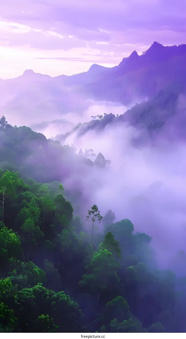 Misty Mountains Landscape Photography