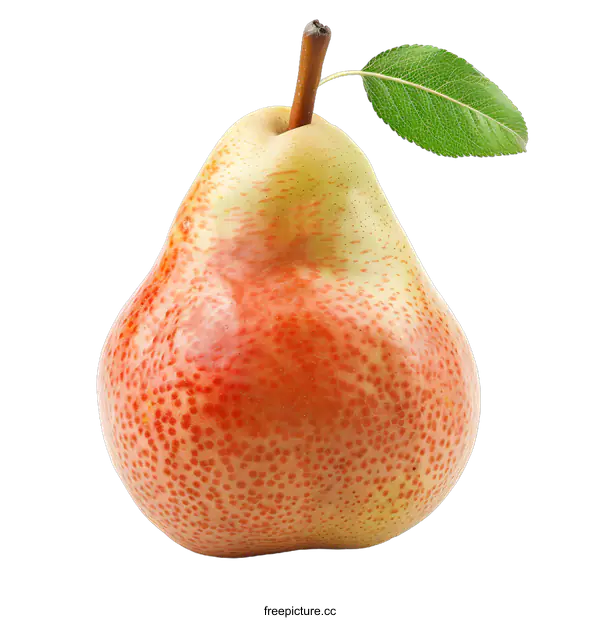 [Transparent Background PNG]A red pear on a white background