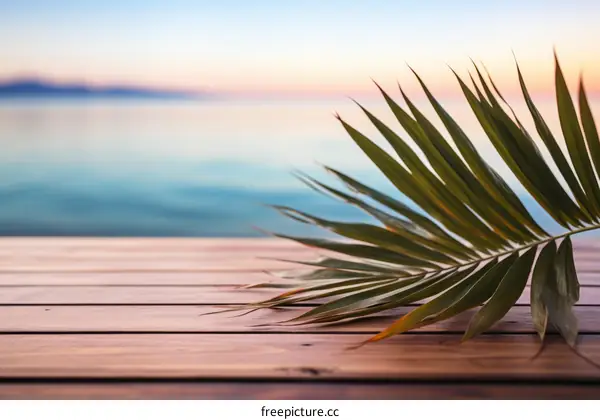 Palm leaf on wooden deck with blurred ocean and sunset in the background