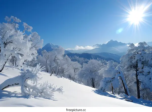 Winter Wonderland Snowy Mountain Landscape