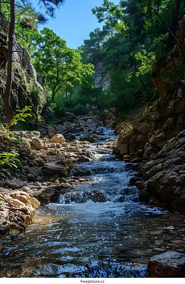 Stream Flowing Through Rocky Gorge