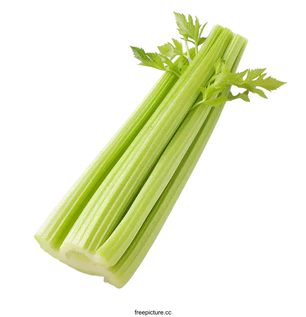 [Transparent Background PNG]Fresh Green Celery Stalks On White Background