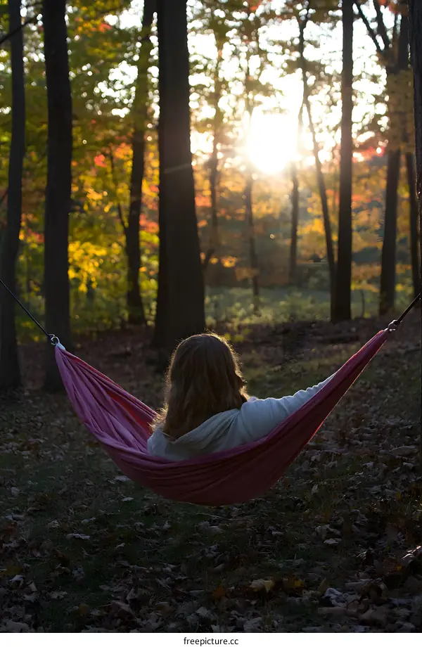 Woman Relaxing in Hammock in Forest at Sunset