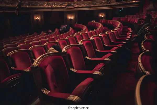 Red Velvet Seats in a Theatre Auditorium