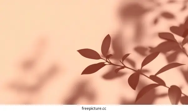 Abstract Leaf Shadows on Pastel Background