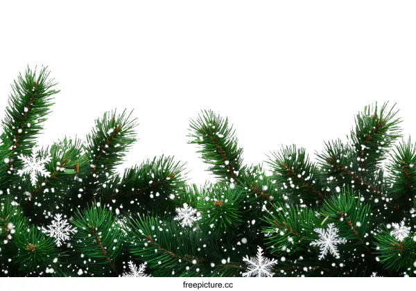 [Transparent Background PNG]Christmas Fir Branches with Snowflakes Background