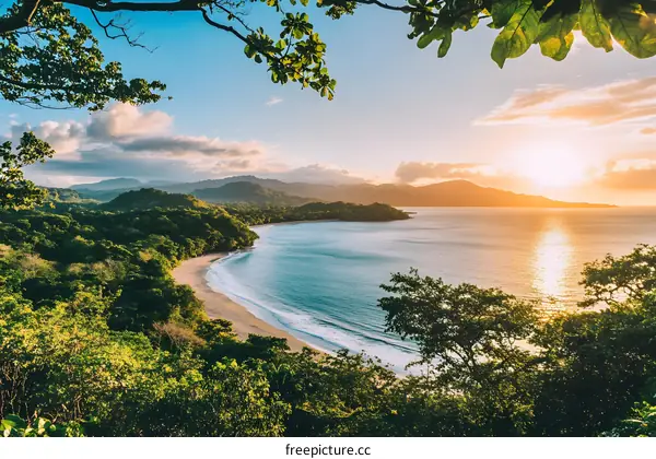 Tropical Beach Sunset With Lush Green Foliage