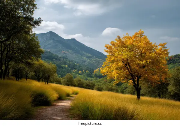Autumn Mountain Path with Golden Trees