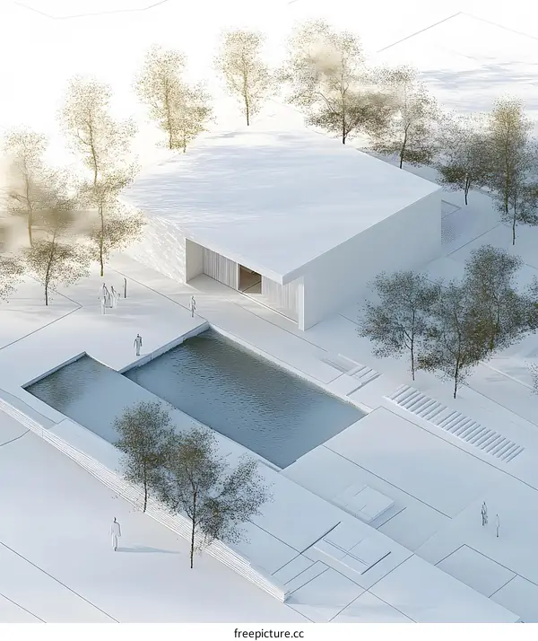 Minimalist Architectural Design with a Swimming Pool and Trees