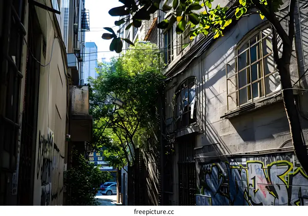 Narrow Alleyway in Urban City with Graffiti and Sunbeams