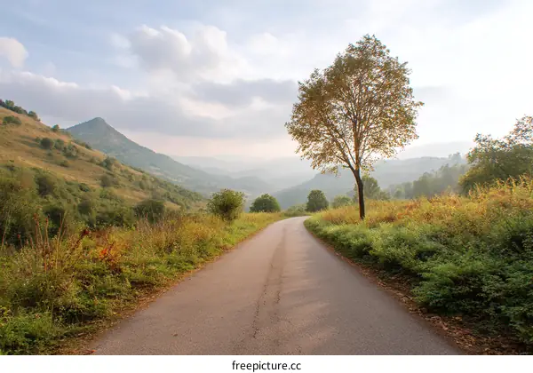 Mountain Road in Misty Morning